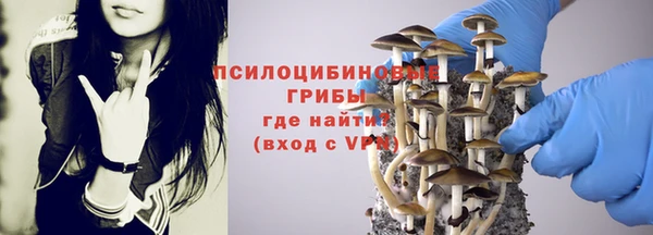 гашик Богородицк
