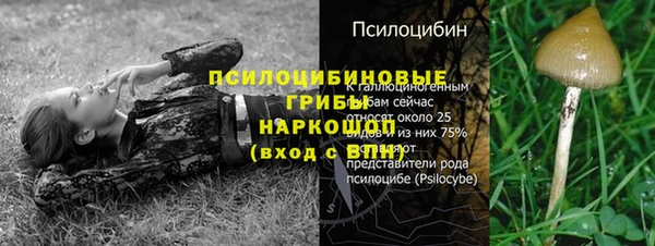 гашик Богородицк