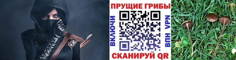 цена   Чита  Псилоцибиновые грибы Magic Shrooms 